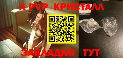 jwh Кингисепп