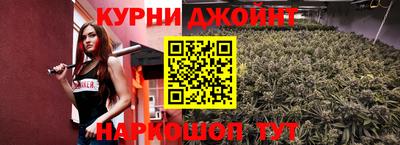 jwh Кингисепп