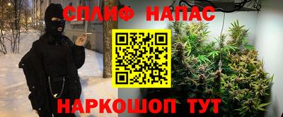 jwh Кингисепп