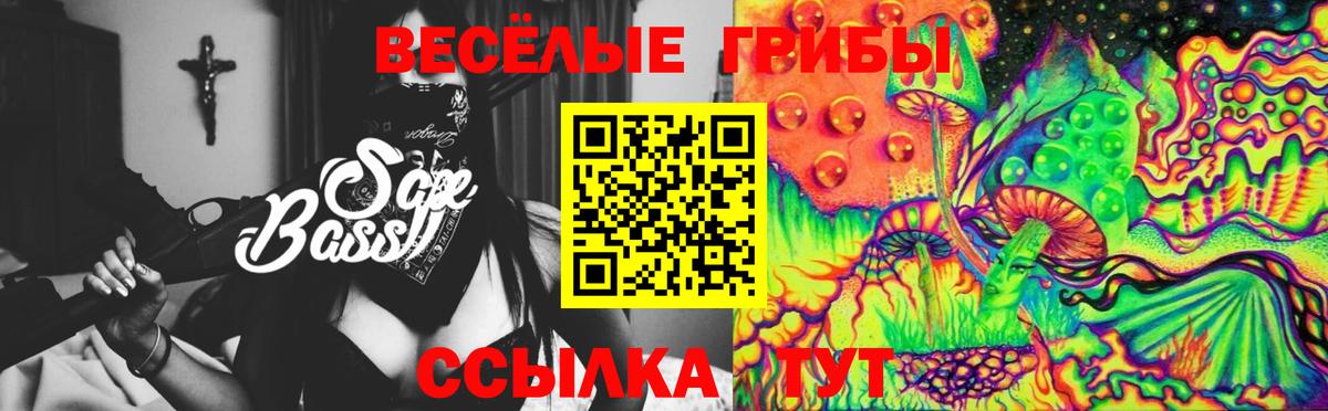 Галлюциногенные грибы Cubensis Клин